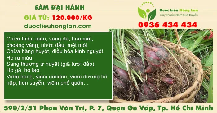 Sâm Đại Hành