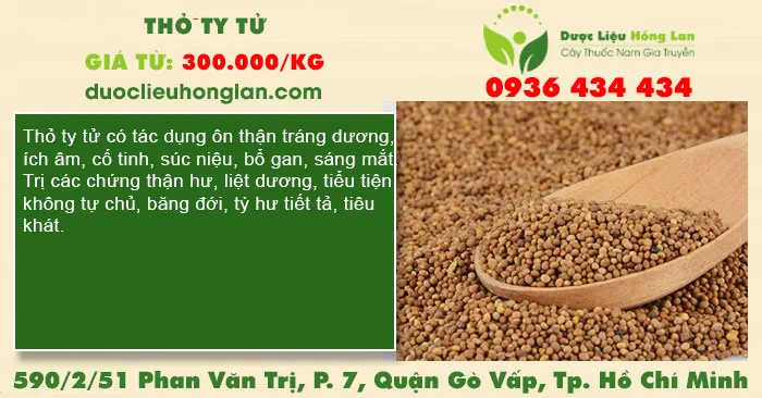 Thỏ ty tử