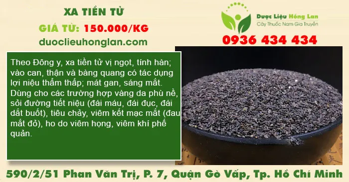 Xa tiền tử