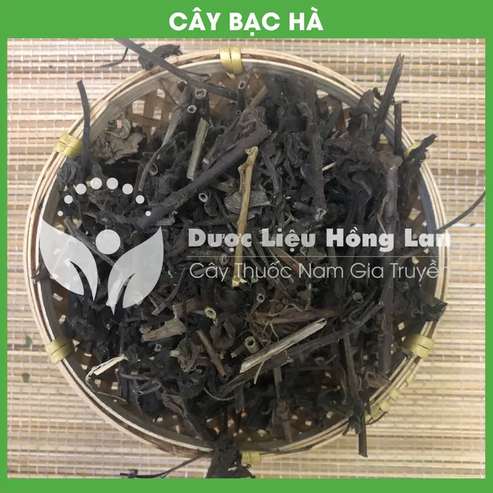 Cây Bạc Hà 3