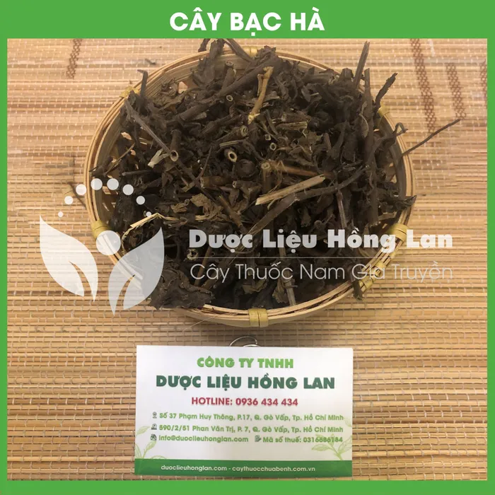 Cây Bạc Hà 1
