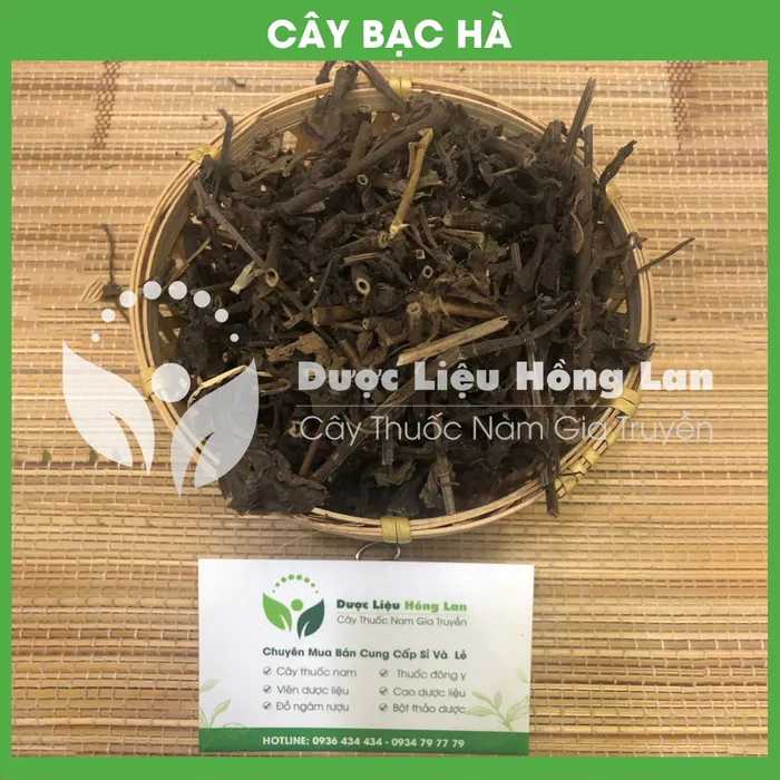 Cây Bạc Hà 2
