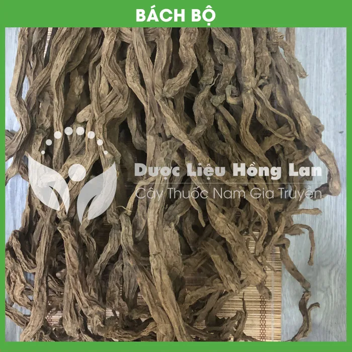 Củ Bách Bộ (củ 30) 3