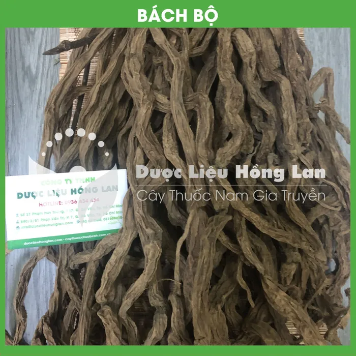 Củ Bách Bộ (củ 30) 1