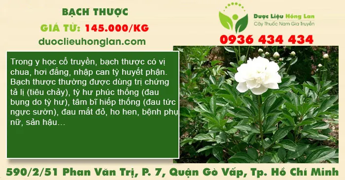 Bạch Thược