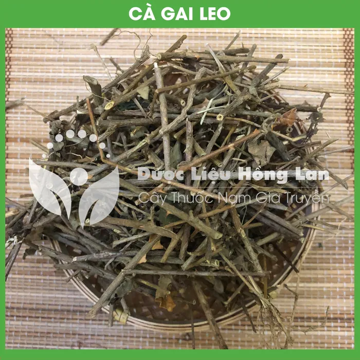 Cây Cà Gai Leo Khô 3
