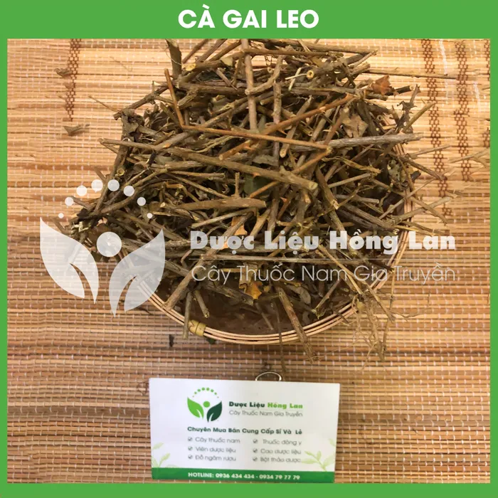 Cây Cà Gai Leo Khô 2