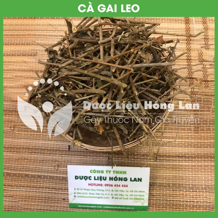 Cây Cà Gai Leo Khô 1