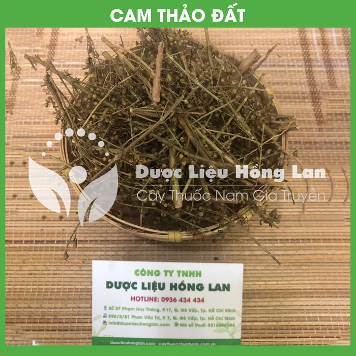 Cam thảo đất (cam thảo nam) 1