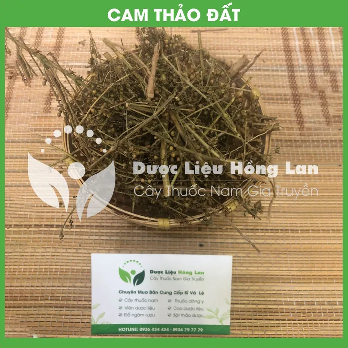 Cam thảo đất (cam thảo nam) 2