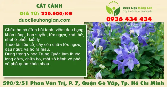 Cát cánh