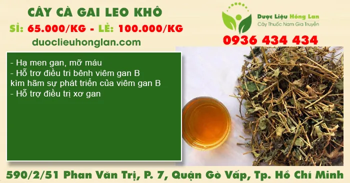 Cây Cà Gai Leo Khô