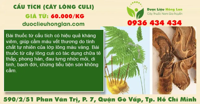Cẩu Tích (Cây Lông Culi)