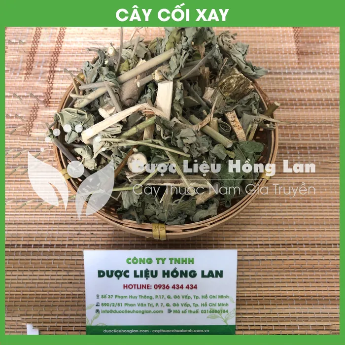 Cây cối xay 1