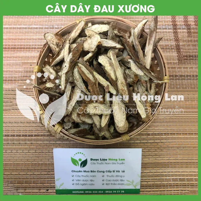 Dây đau xương (Khoan Cân Đằng) 2