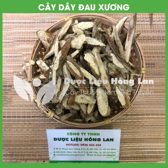 Dây đau xương (Khoan Cân Đằng) 1