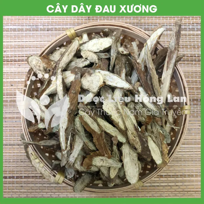 Dây đau xương (Khoan Cân Đằng) 3