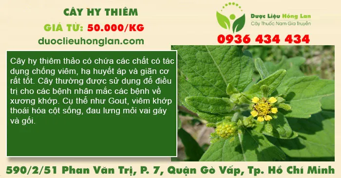 Cây Hy Thiêm