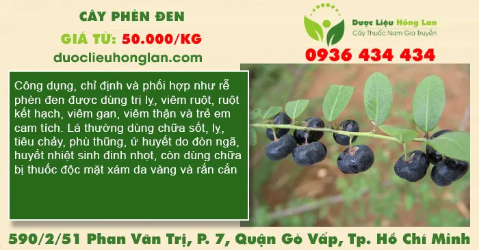 Cây Phèn đen