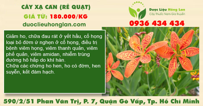 Kết luận về hiệu quả và tiềm năng của cây Xạ Can