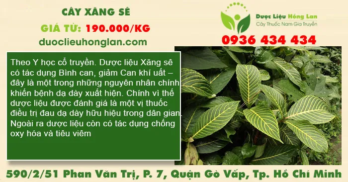 Cây xăng sê