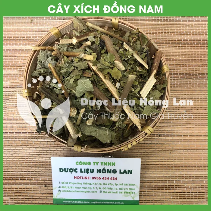 Xích Đồng Nam 1