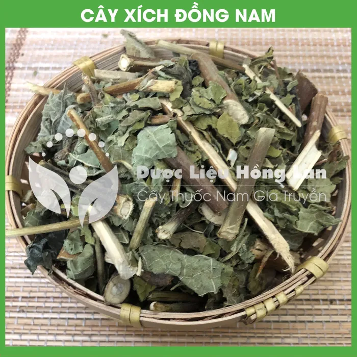 Xích Đồng Nam 3