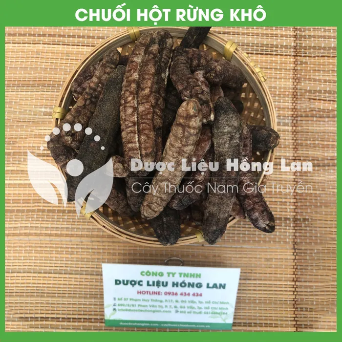 Chuối Hột Rừng khô Tây Nguyên 1