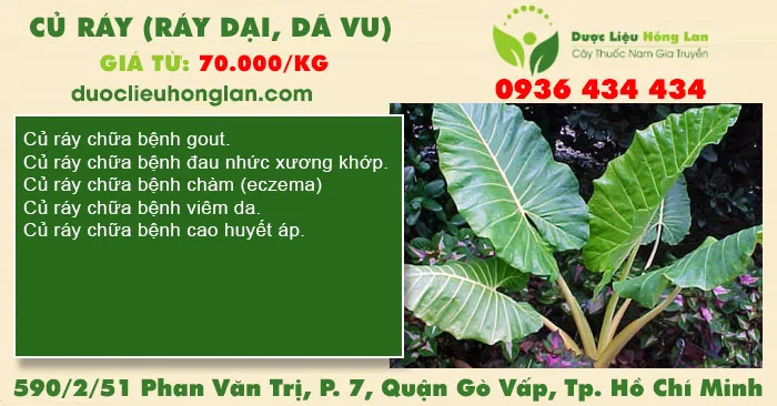 Củ ráy (ráy dại, dã vu)