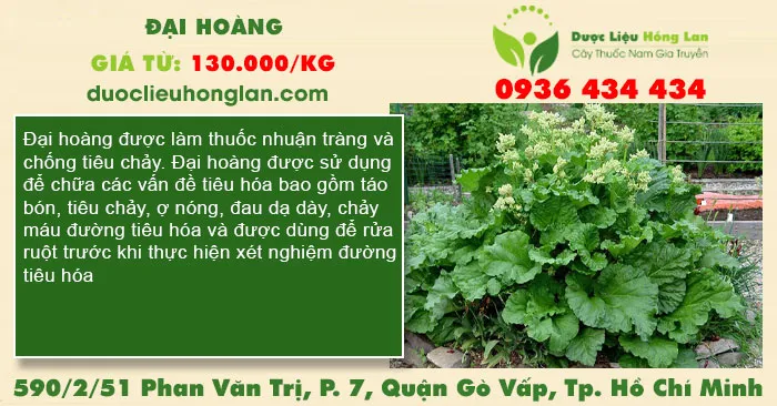 Đại Hoàng
