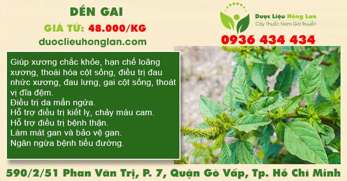 Dền Gai