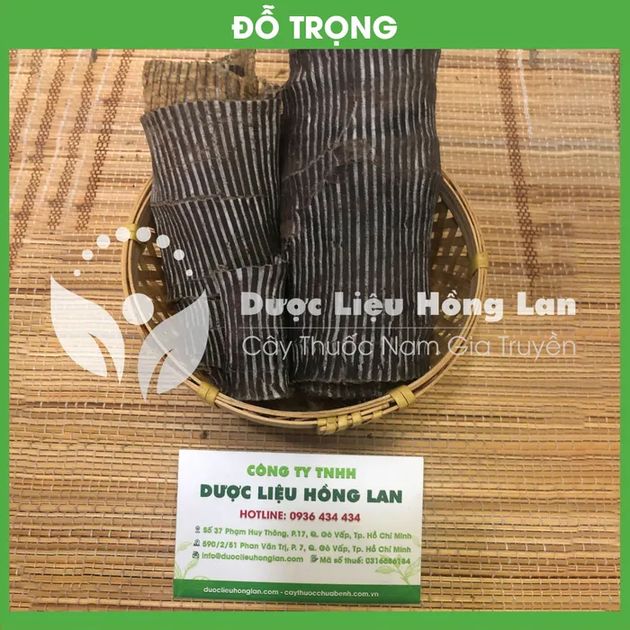 Đỗ Trọng 1