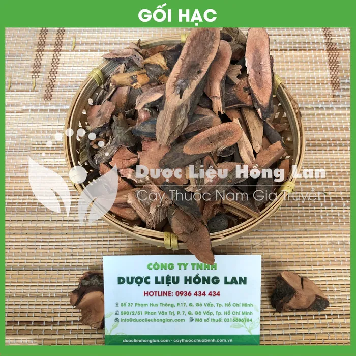 Cây Gối Hạc 1