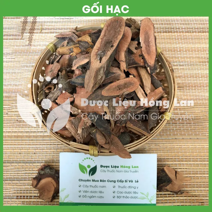 Cây Gối Hạc 2