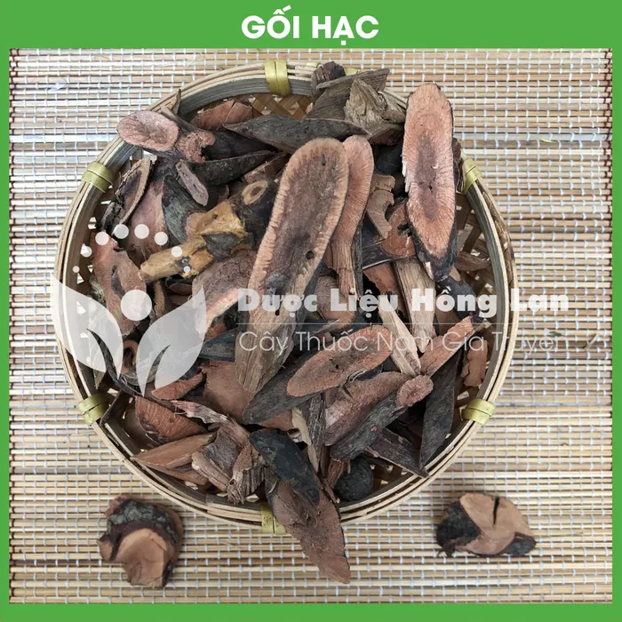 Cây Gối Hạc 3