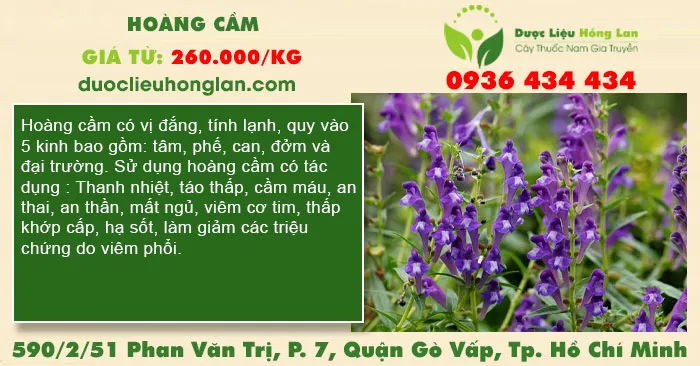 Hoàng cầm