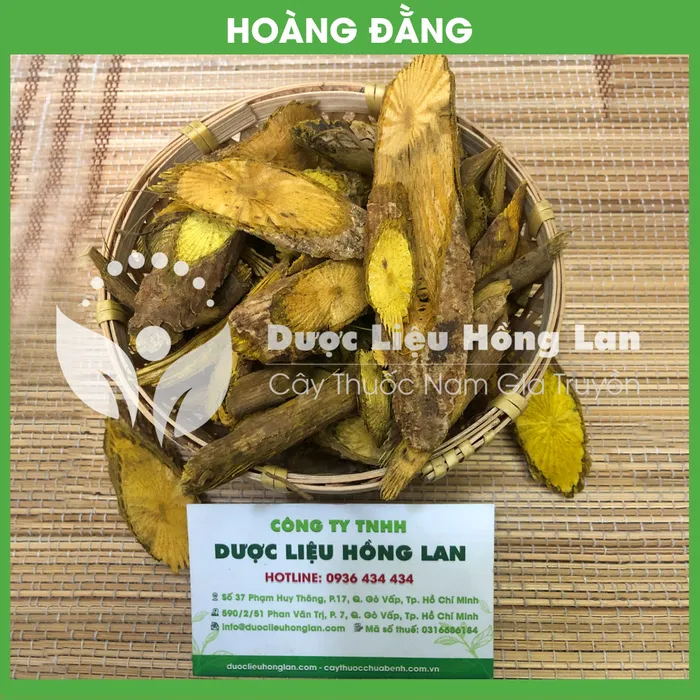 Cây Hoàng đằng 1