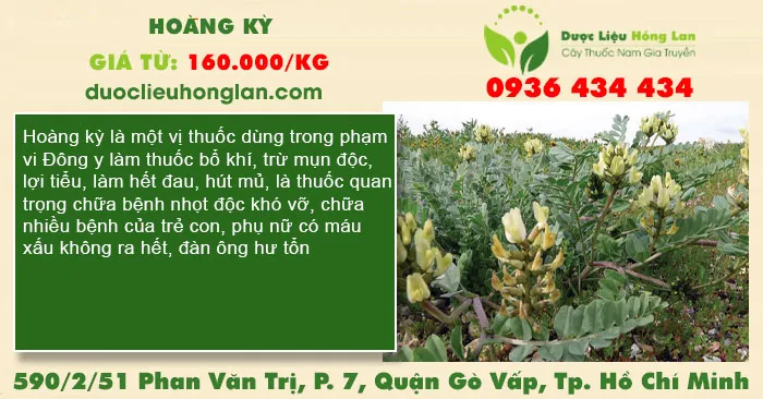 Hoàng kỳ