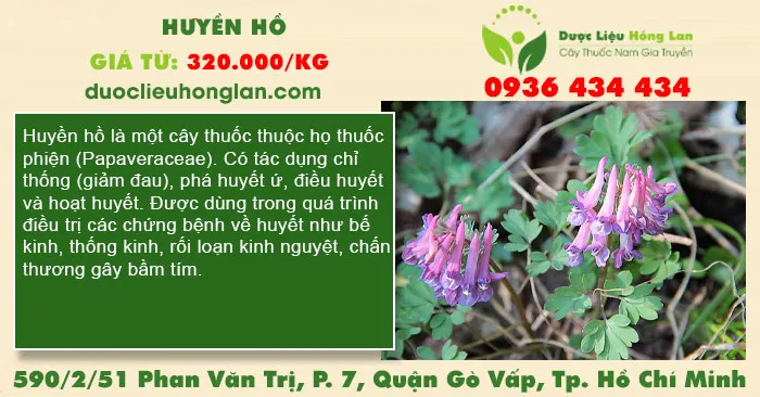 Huyền hồ