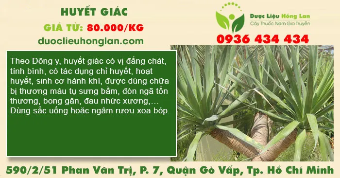 Huyết giác