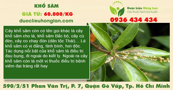 Khổ Sâm