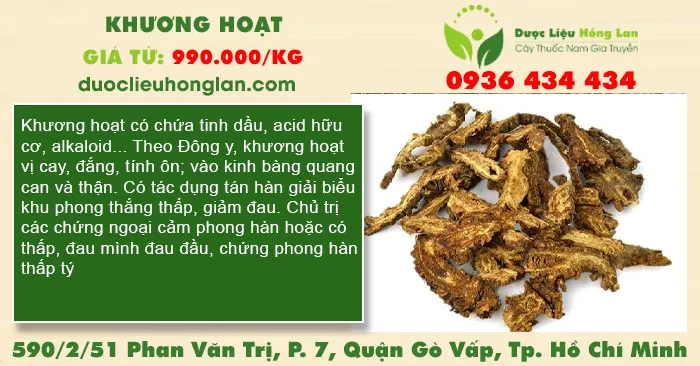 Khương hoạt