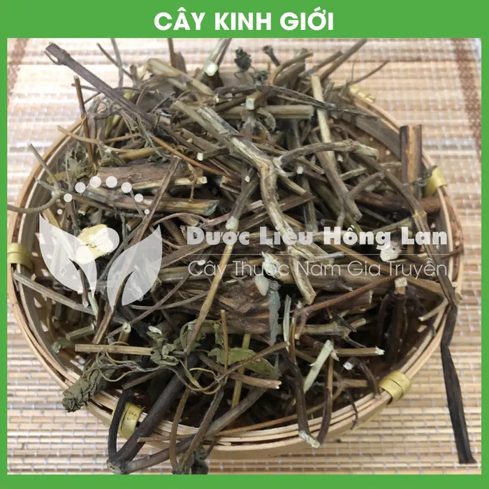 Cây  Kinh Giới 3