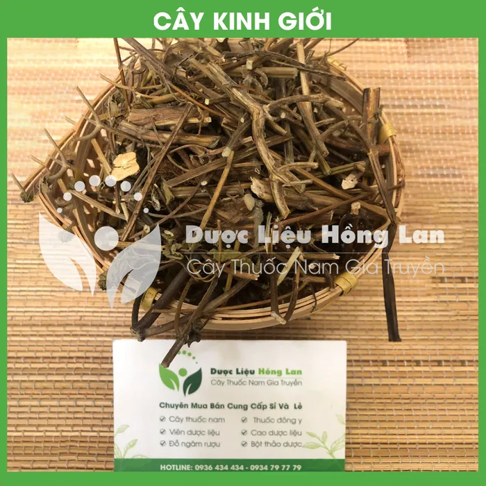 Cây  Kinh Giới 2