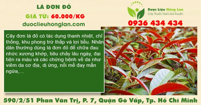 Lá Đơn đỏ