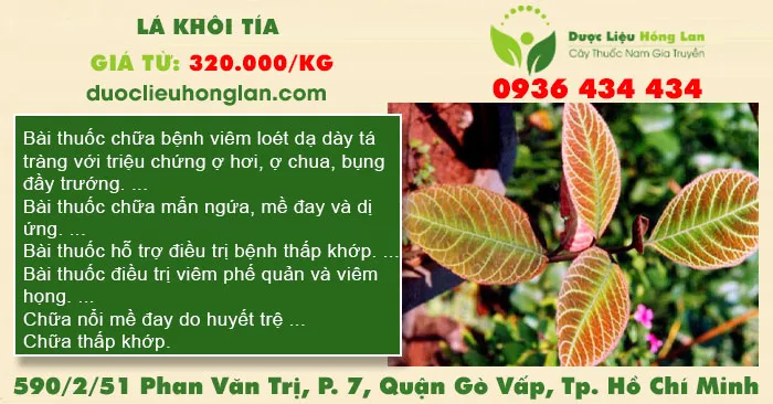 Lá Khôi Tía