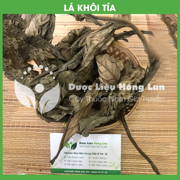 Lá Khôi Tía 2