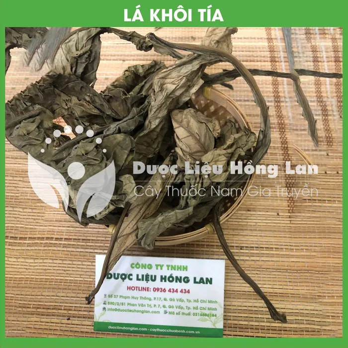 Lá Khôi Tía 1
