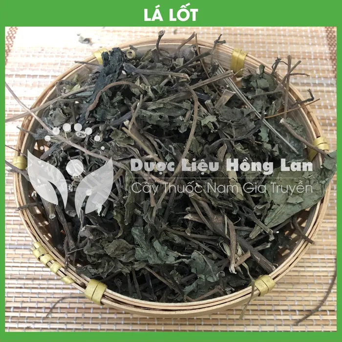 Lá Lốt 3