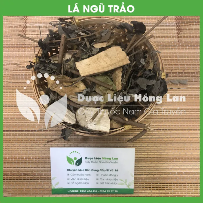 Lá cây ngũ trảo 2